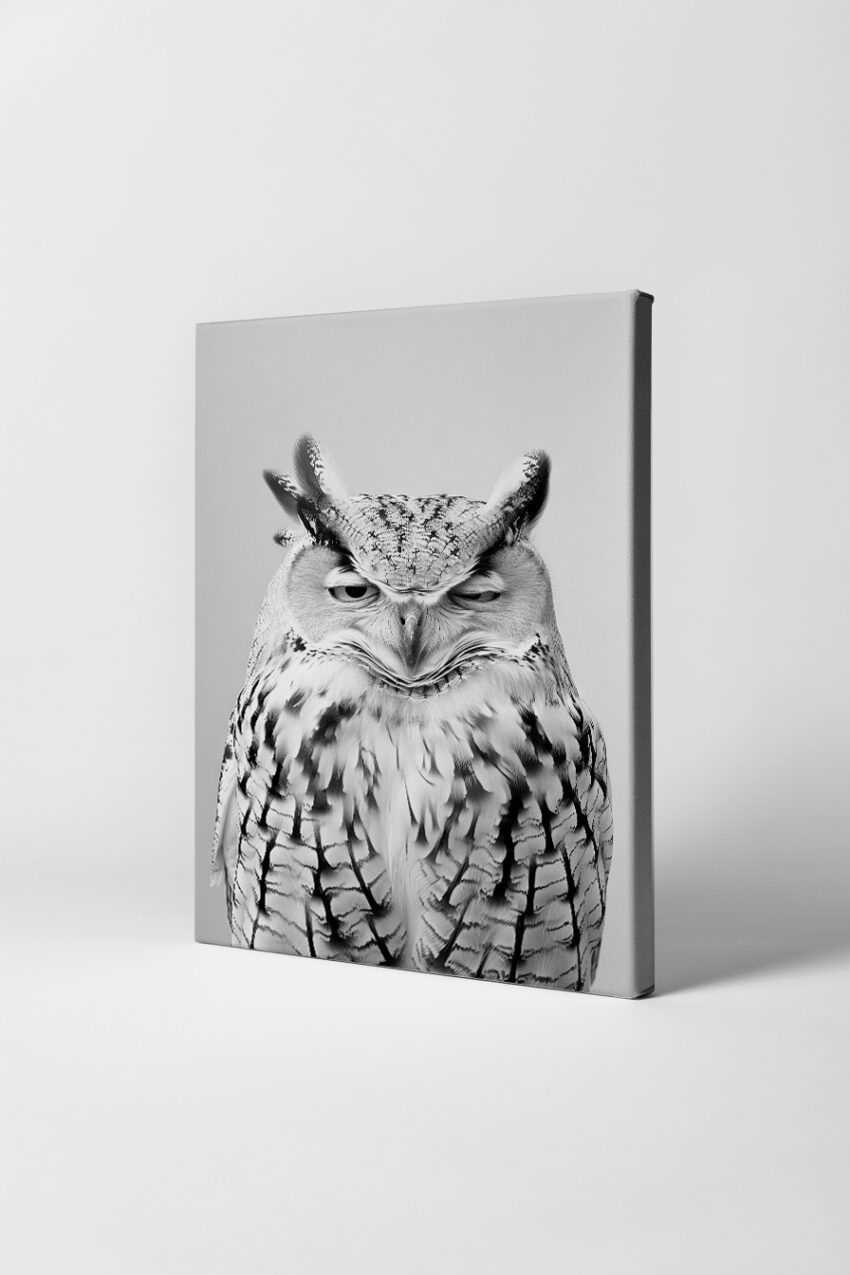 Fotografie Poster Eule schwarz-weiß Nahaufnahme