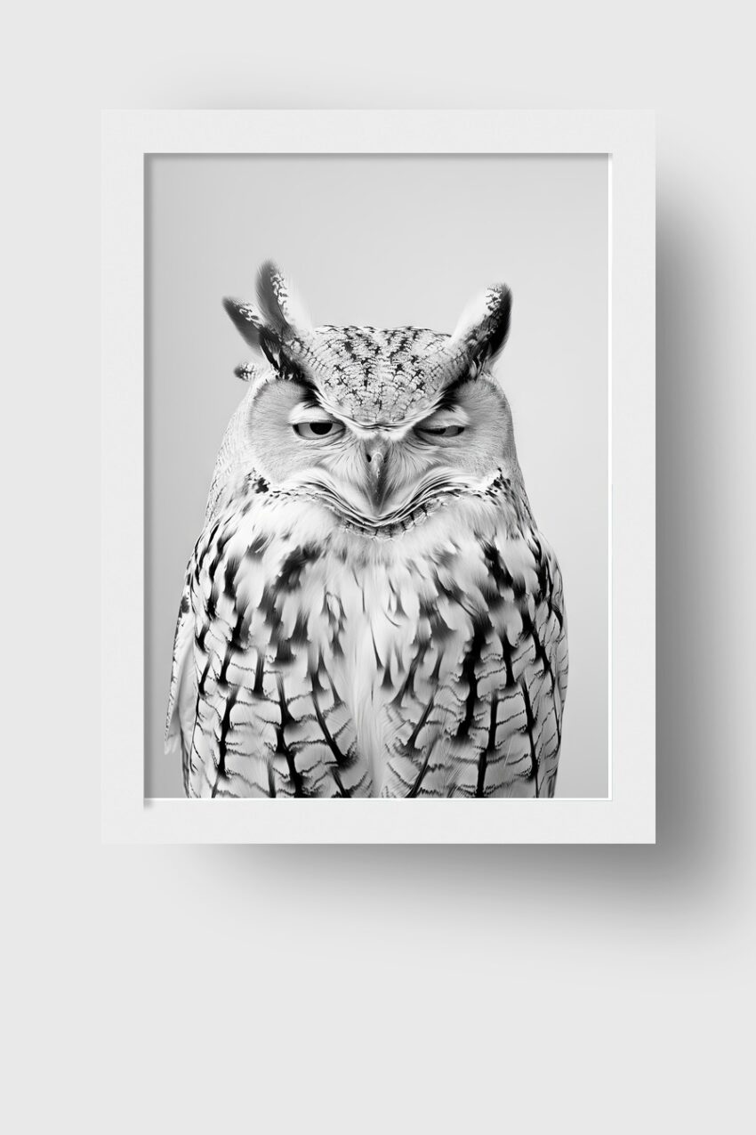 Fotografie Poster Eule schwarz-weiß Nahaufnahme