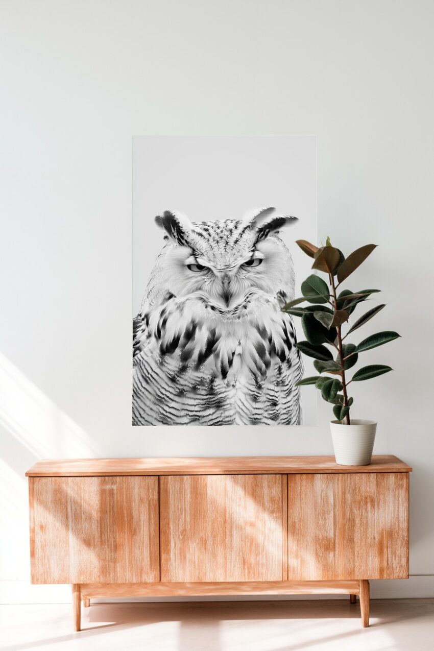 Fotografie Poster Eule Nahaufnahme monochrom weiß schwarz