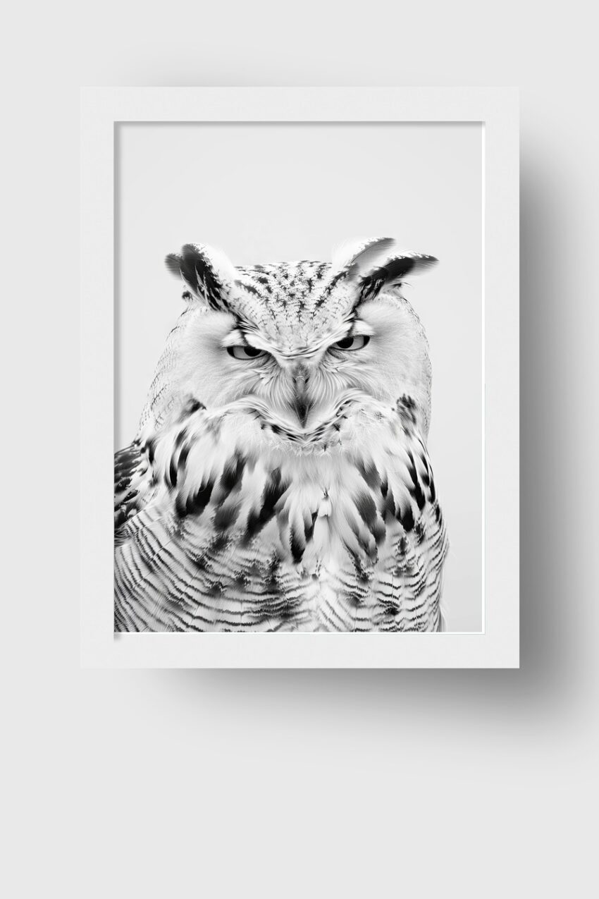 Fotografie Poster Eule Nahaufnahme monochrom weiß schwarz