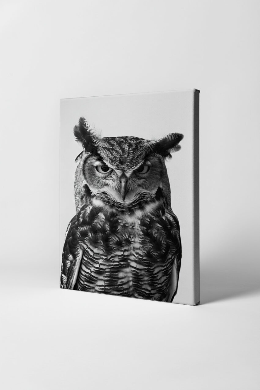 Fotografie Poster Eule Porträt schwarz-weiß