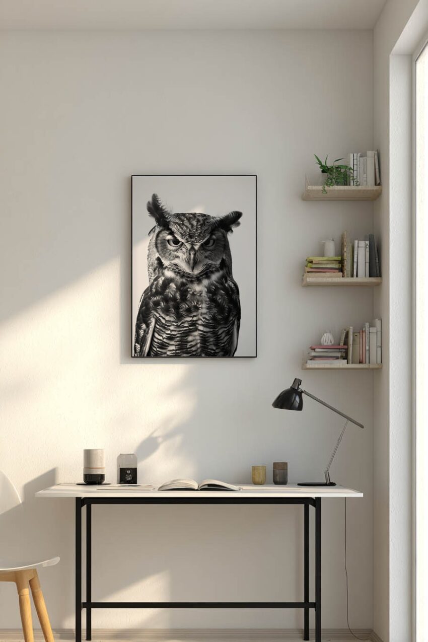 Fotografie Poster Eule Porträt schwarz-weiß