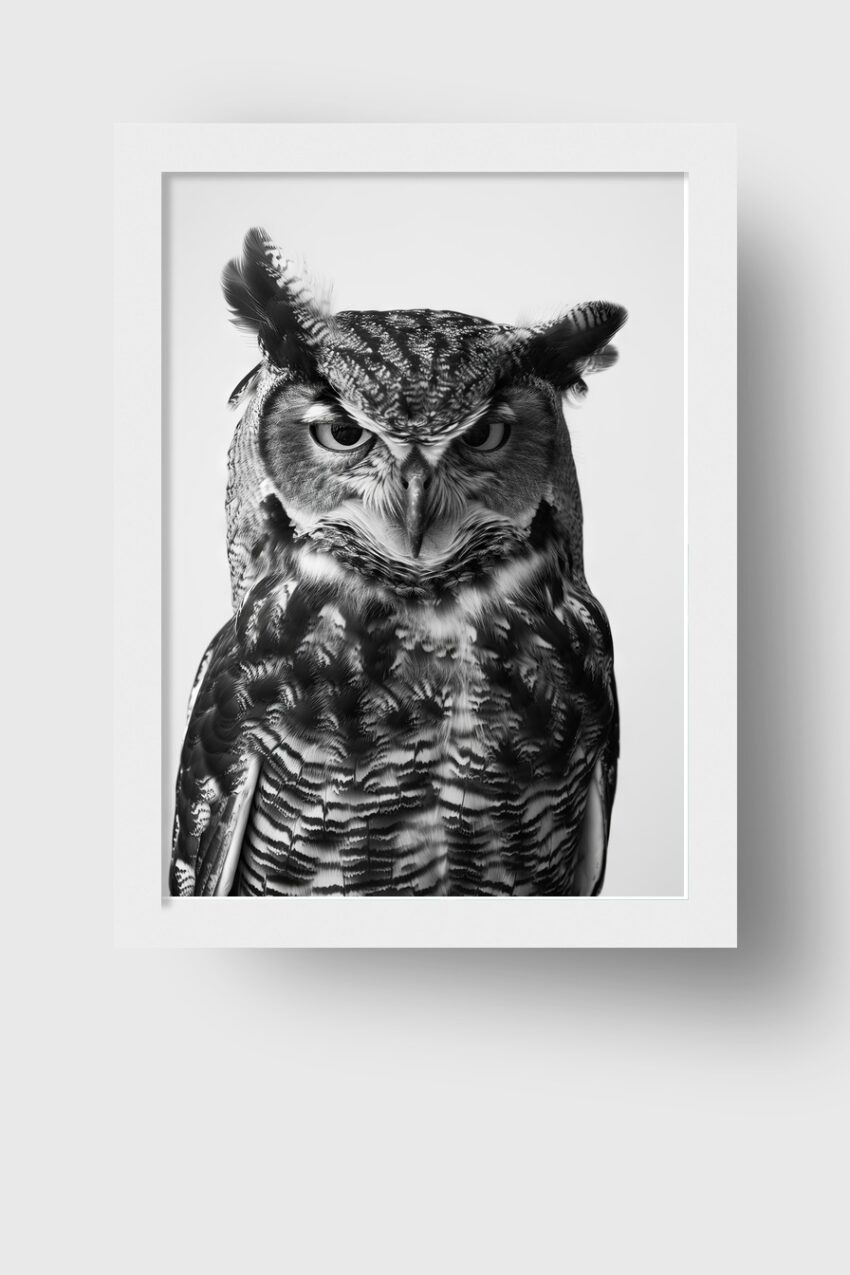 Fotografie Poster Eule Porträt schwarz-weiß