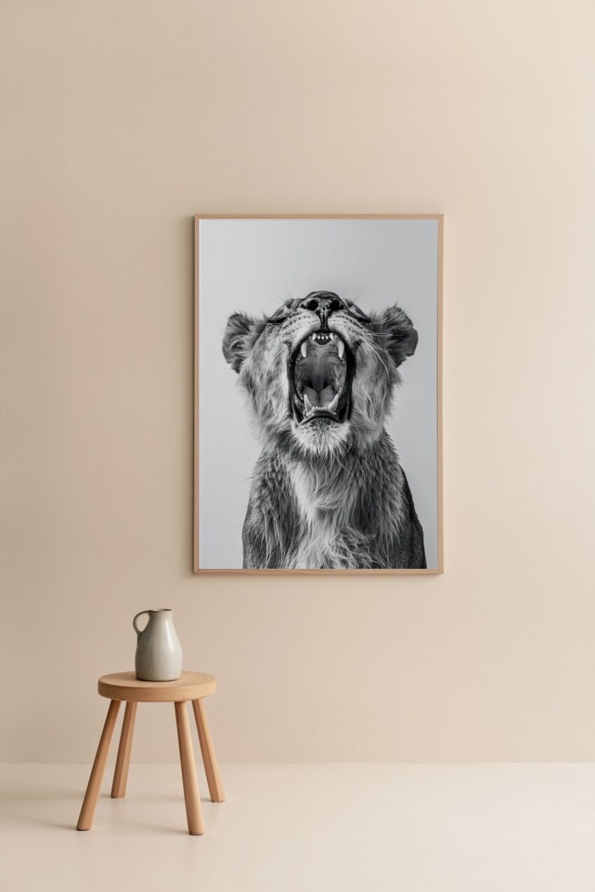 Fotografie Poster Löwe jung schwarz-weiß Nahaufnahme