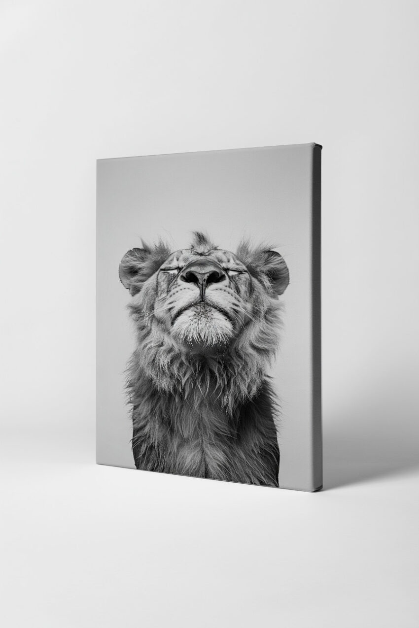 Fotografie Poster Löwe Porträt schwarz-weiß