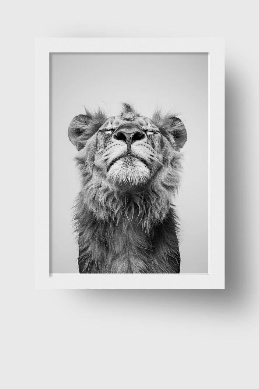 Fotografie Poster Löwe Porträt schwarz-weiß