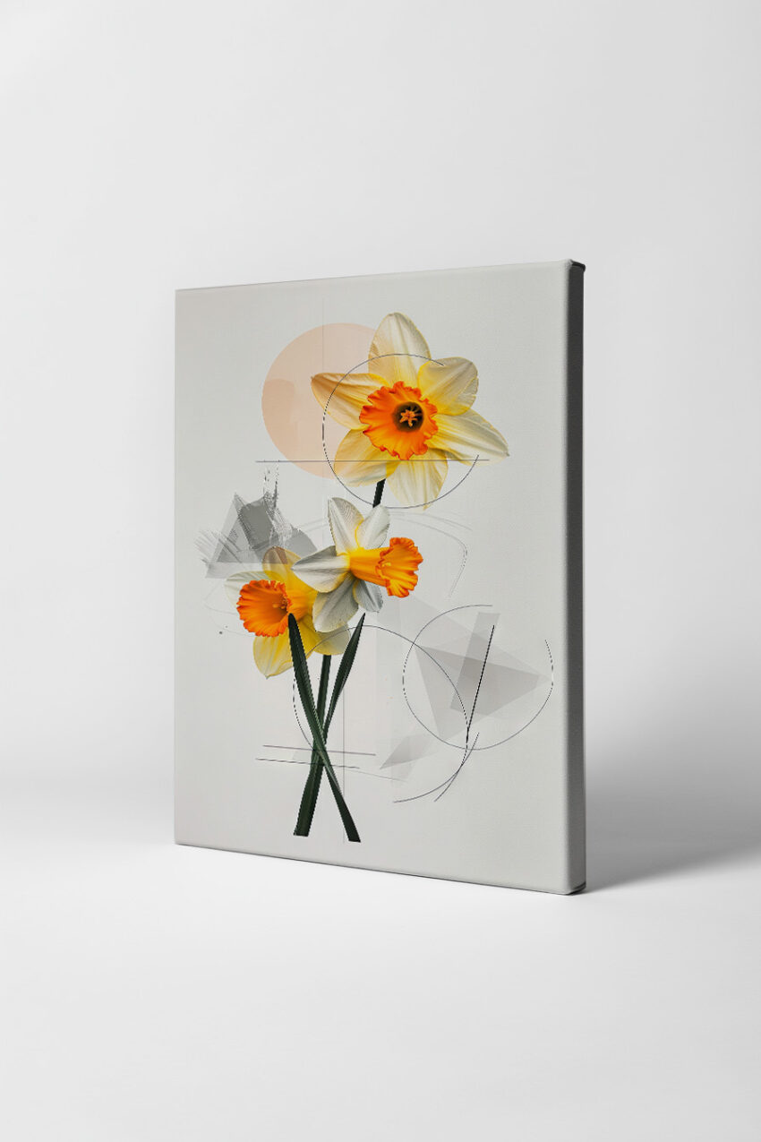 Illustration Poster Narzissen orange gelb weiß Botanik