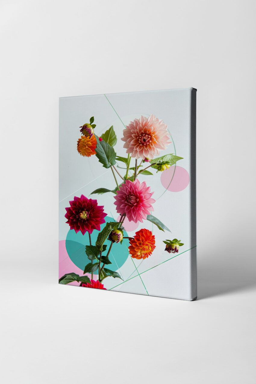 Fotografie Poster Dahlien bunt Farbmix