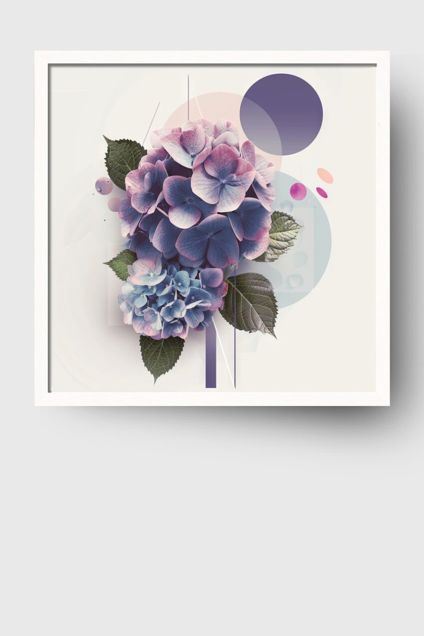 Grafik Poster Hortensie digital rosa blau