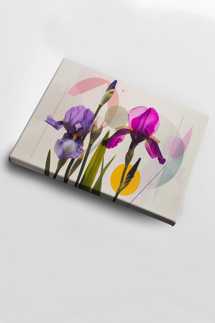 Fotografie Poster Irisblüten violett lila