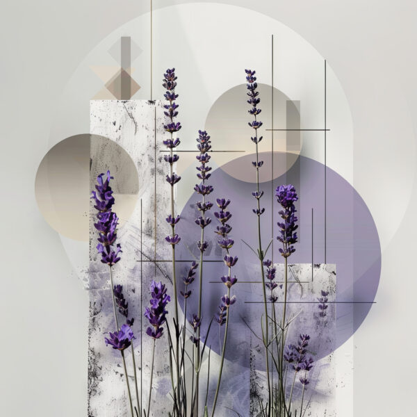 Lavendel Grafik Gerahmt