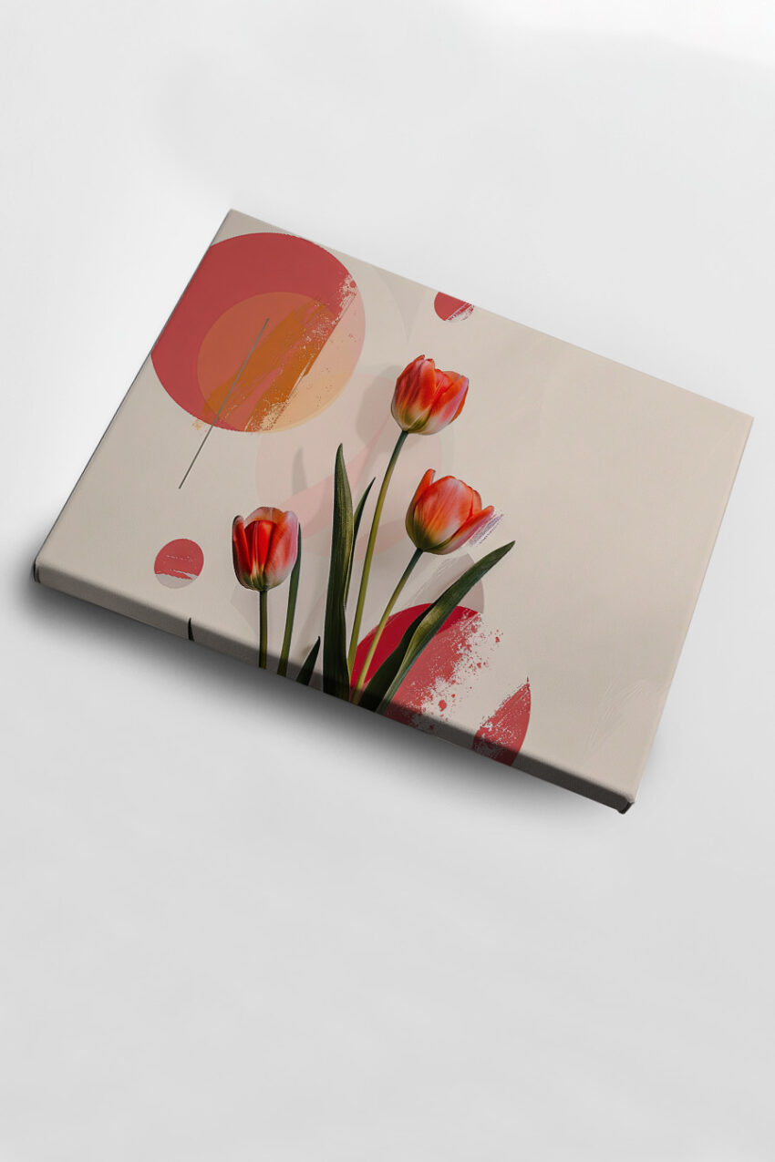 Fotografie Poster Tulpen rot minimalistisch