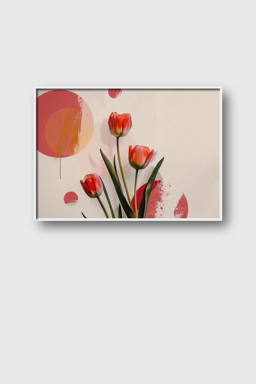 Fotografie Poster Tulpen rot minimalistisch