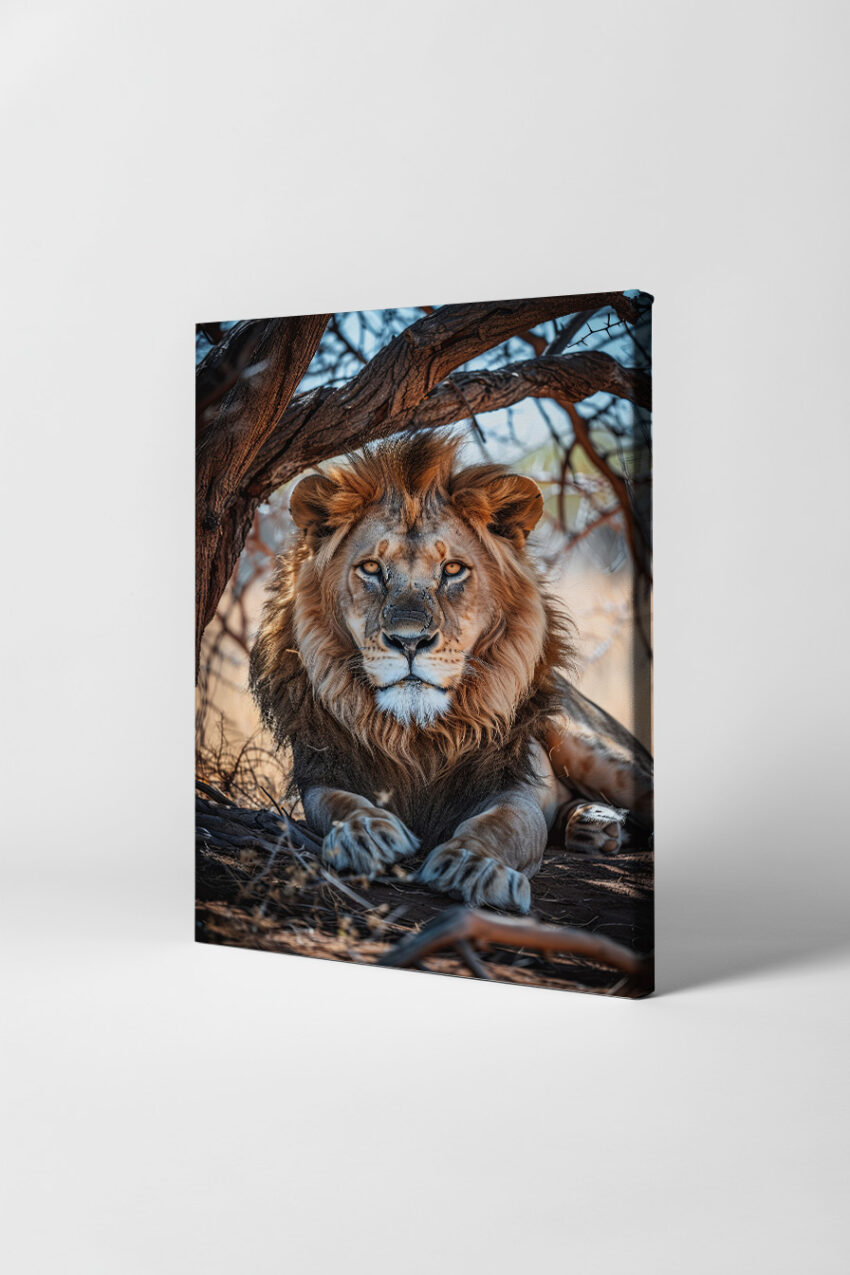 Fotografie Poster Löwe frontal Schatten braun