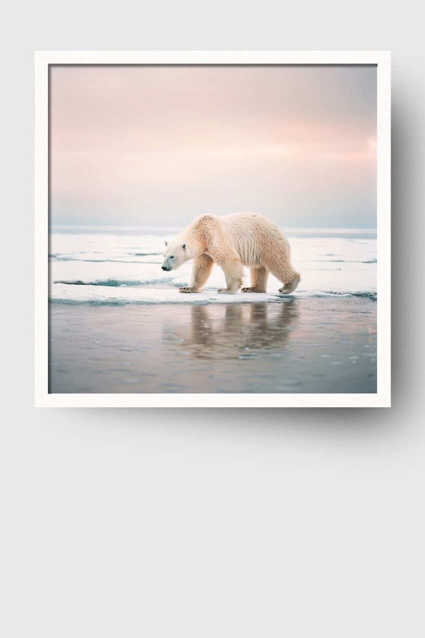 Fotografie Poster Eisbär Eislandschaft kalt weiß