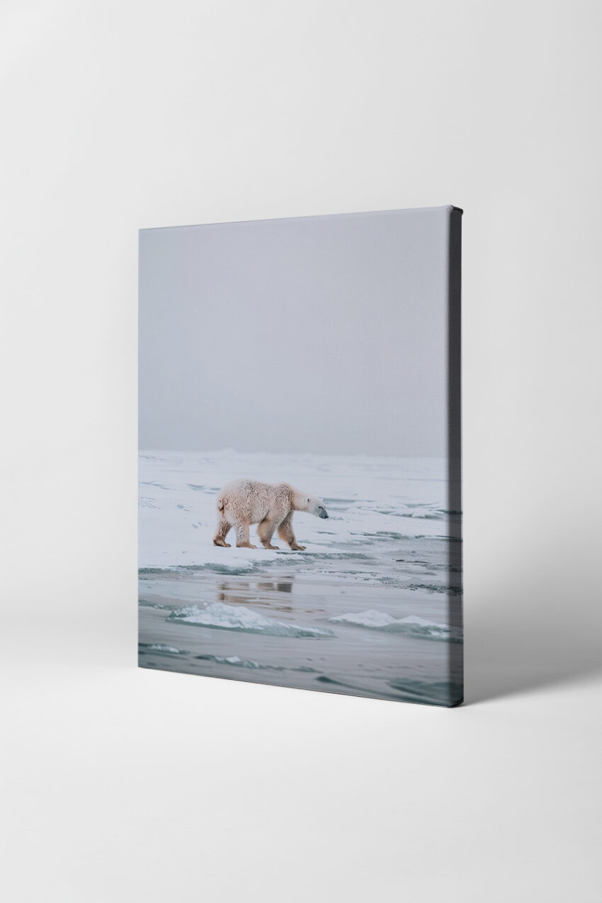Fotografie Poster Eisbär Eislandschaft minimalistisch weiß grau
