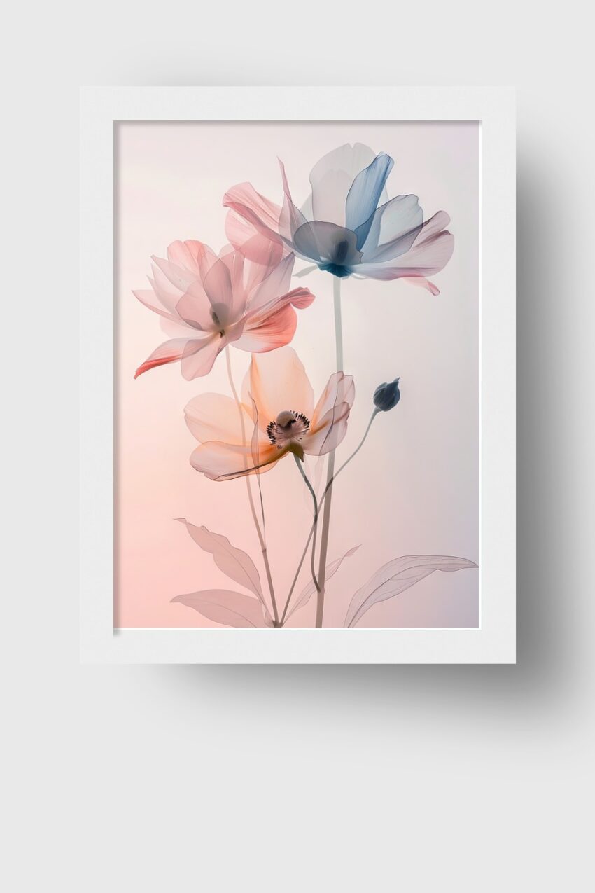 Fotografie Poster Blumen transparent filigran rosa blau