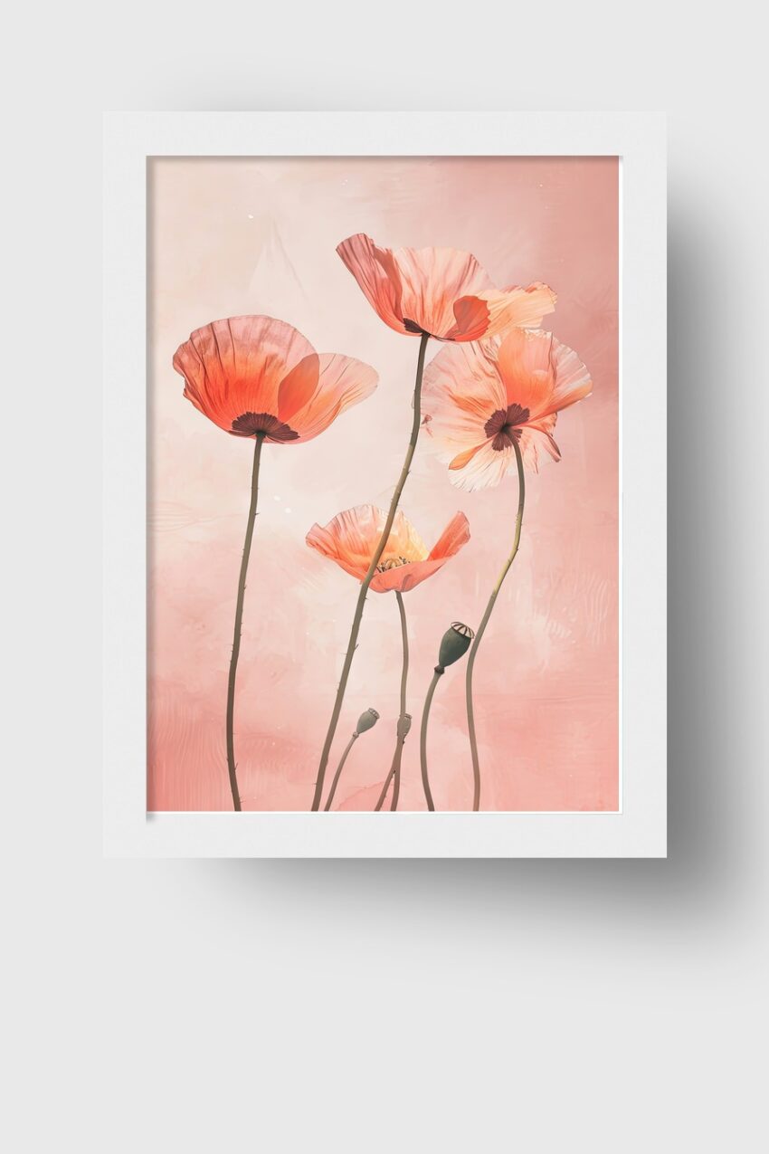 Illustration Poster Mohnblumen zart pastellfarben