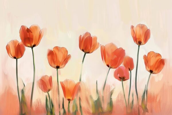 Tulpenfeld im Licht Gerahmt