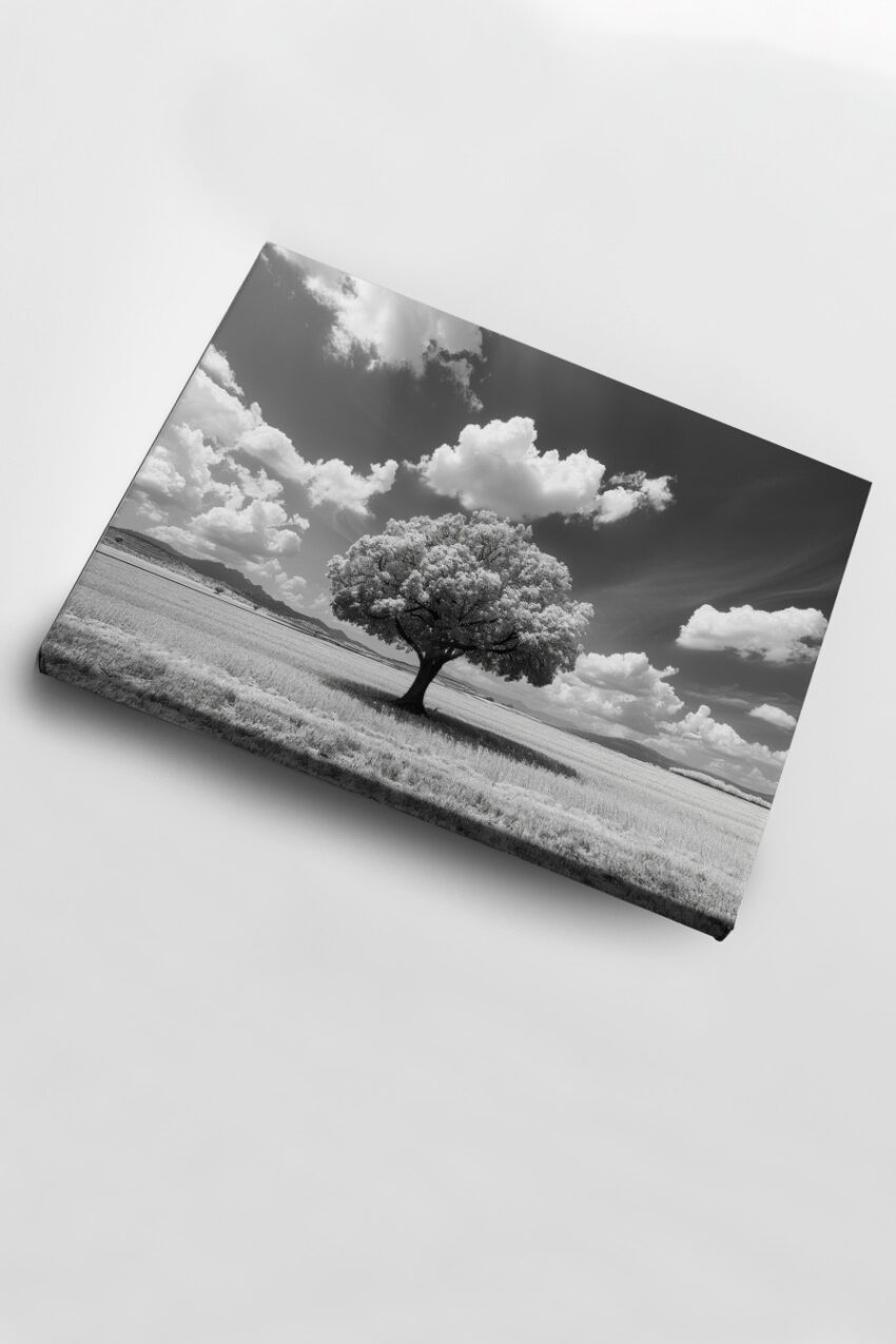 Fotografie Poster Baum einsam Feld schwarz-weiß