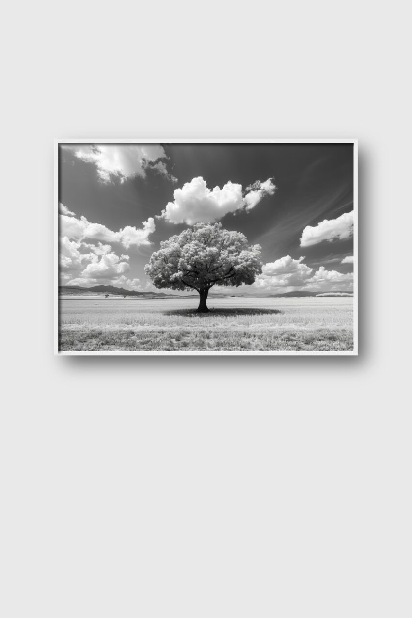 Fotografie Poster Baum einsam Feld schwarz-weiß