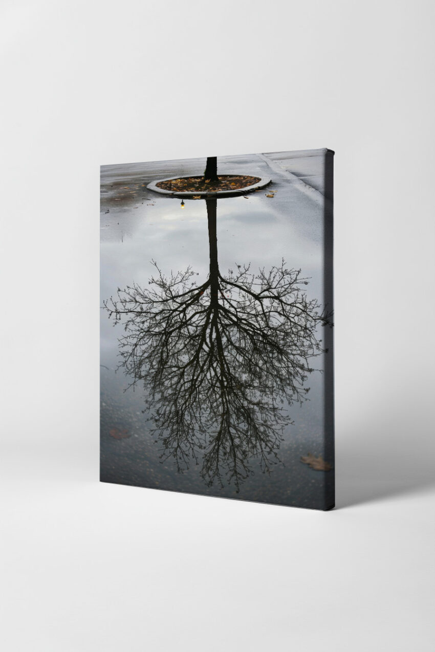 Fotografie Poster Baum Spiegelung klar schwarz-weiß