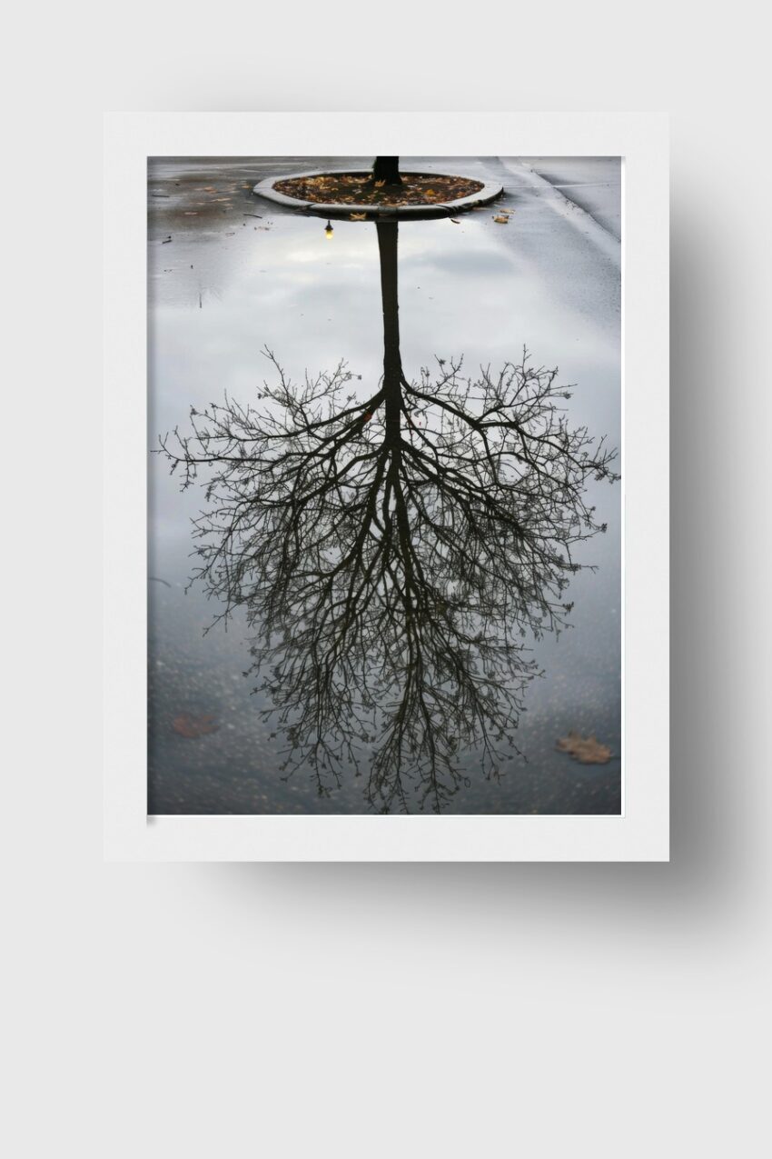 Fotografie Poster Baum Spiegelung klar schwarz-weiß
