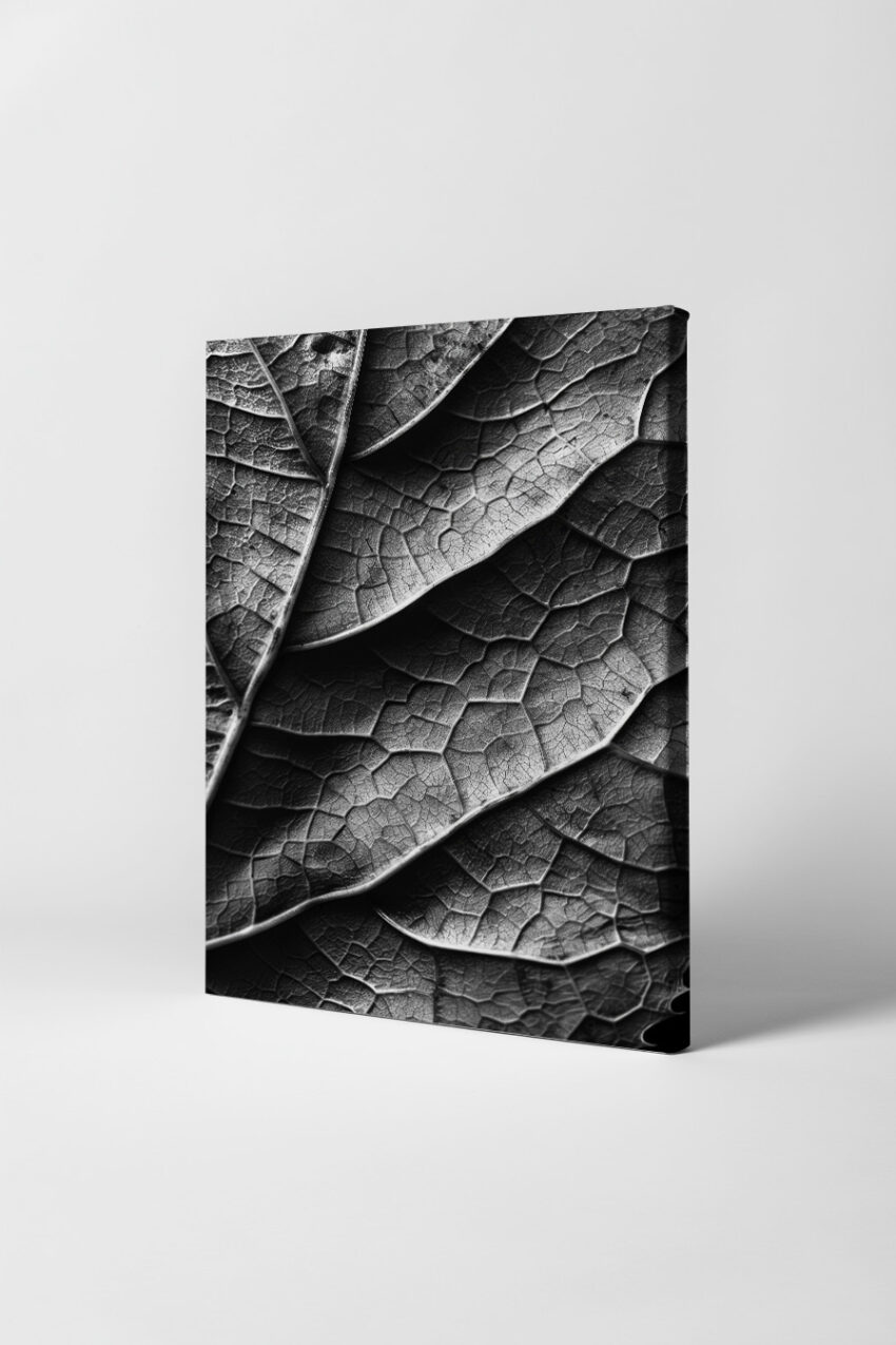 Fotografie Poster Blattstruktur schwarz-weiß Makro