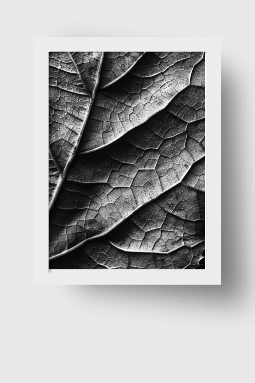 Fotografie Poster Blattstruktur schwarz-weiß Makro