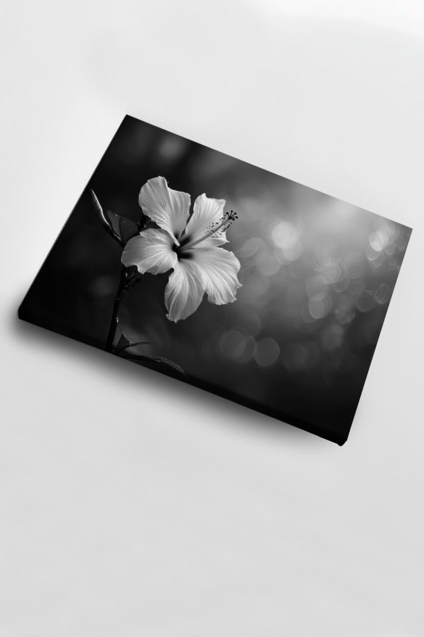 Fotografie Poster Hibiskus Blüte schwarz-weiß Detail