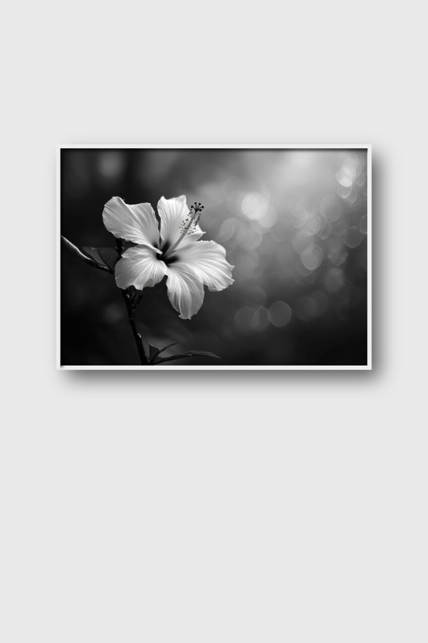 Fotografie Poster Hibiskus Blüte schwarz-weiß Detail