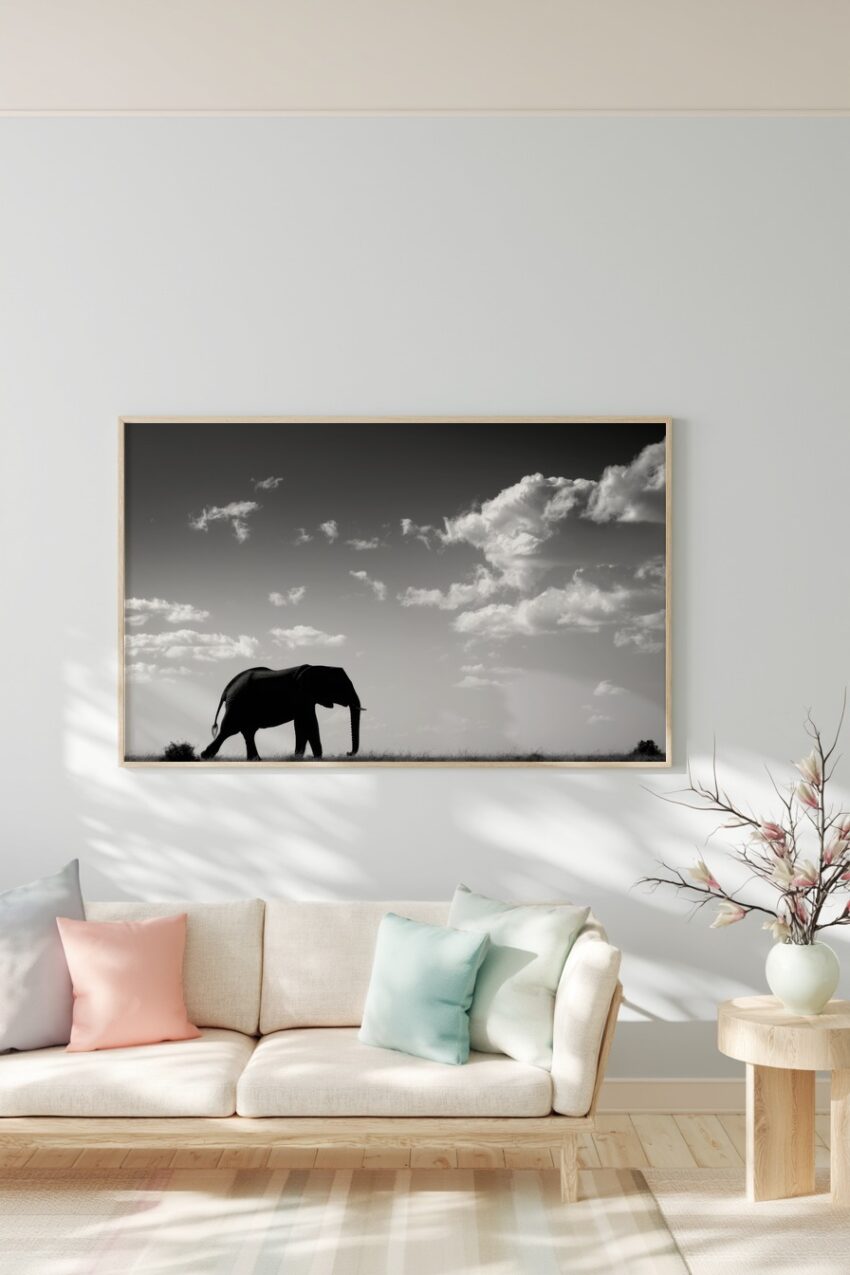 Fotografie Poster Elefant Silhouette schwarz-weiß Himmel
