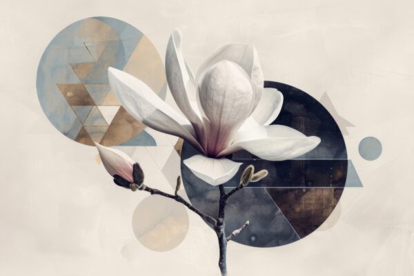 Magnolie Leinwandbild