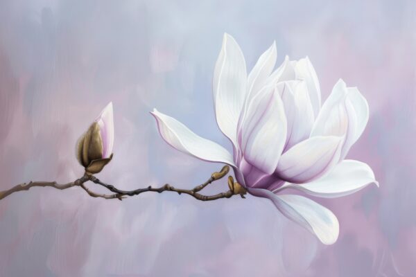 Magnolie Leinwandbild