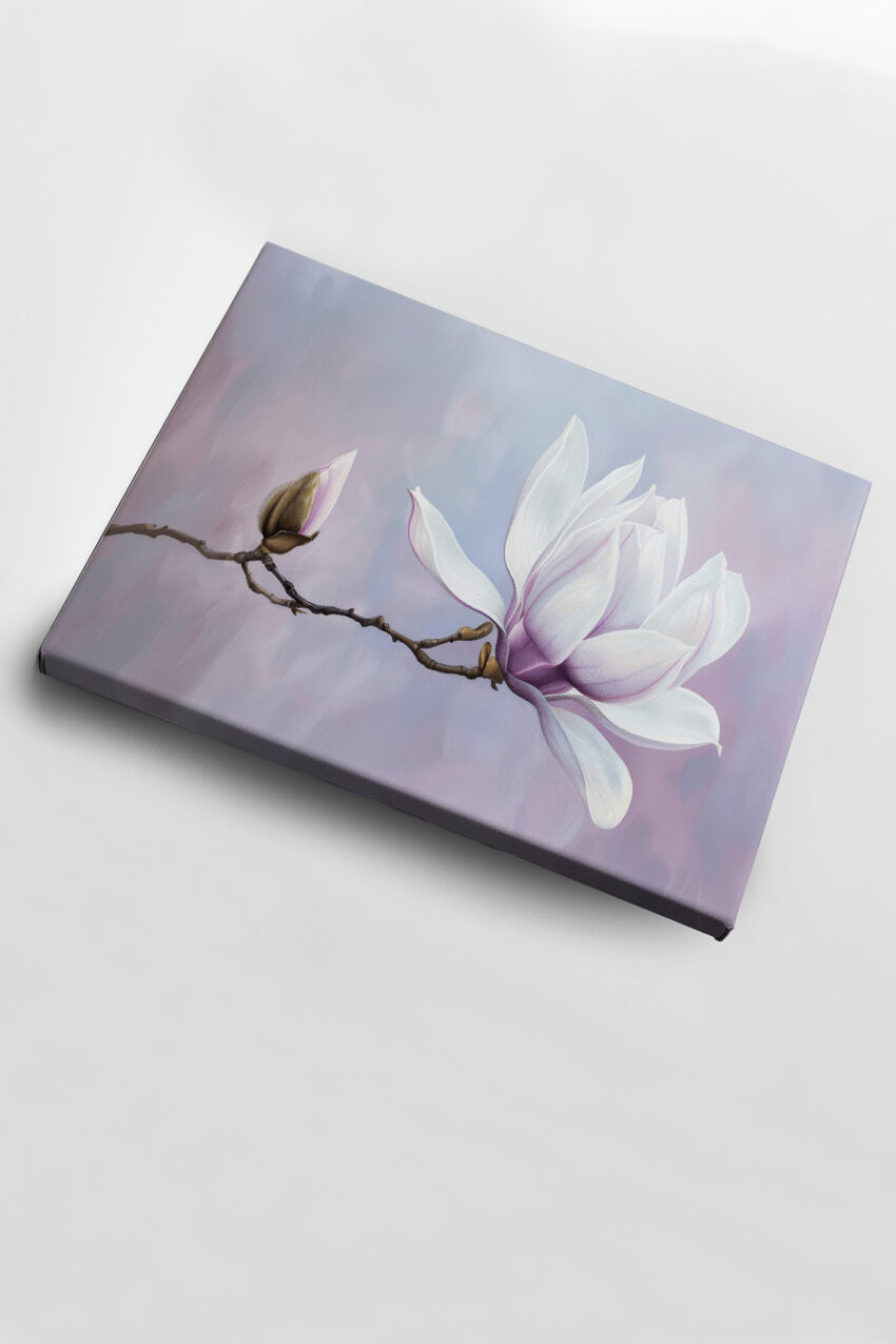 Fotografie Poster Magnolie zart weiß rosa