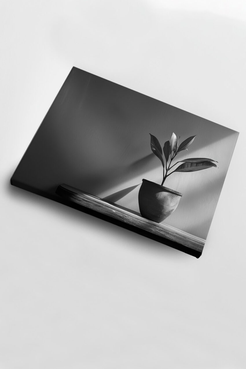 Fotografie Poster Pflanze minimalistisch schwarz-weiß