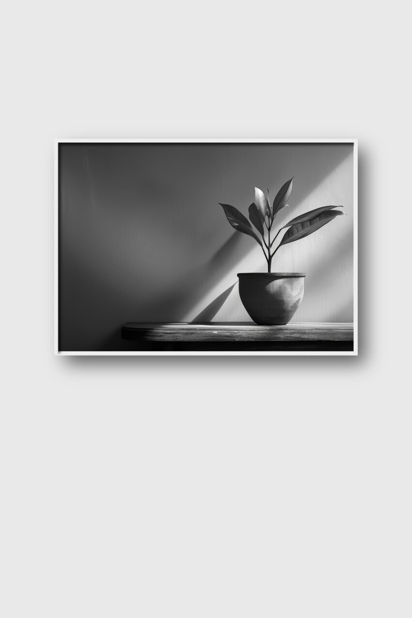Fotografie Poster Pflanze minimalistisch schwarz-weiß