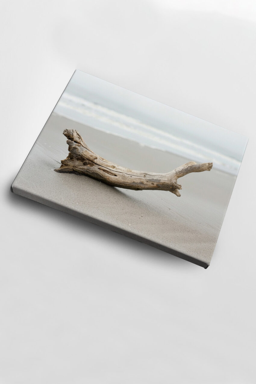 Fotografie Poster Treibholz Strand Sand naturfarben