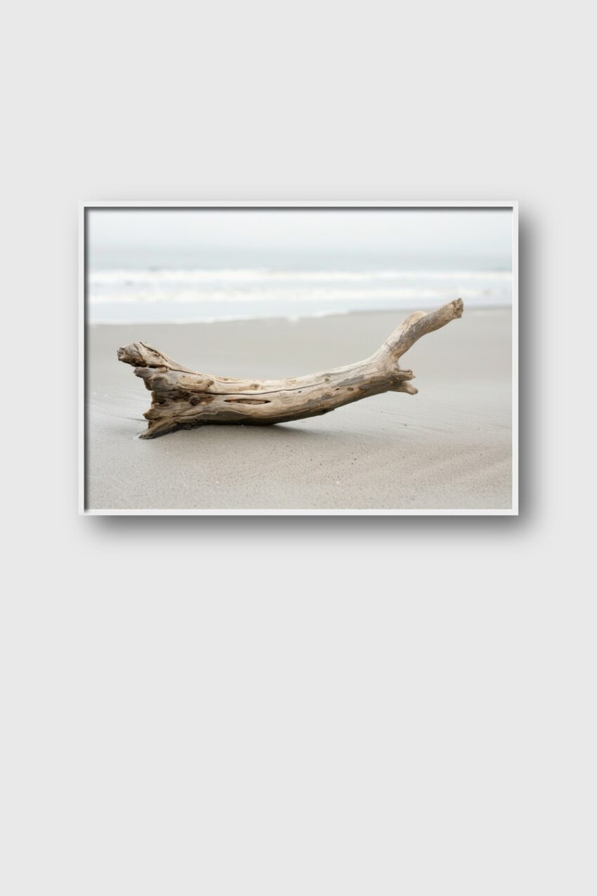 Fotografie Poster Treibholz Strand Sand naturfarben