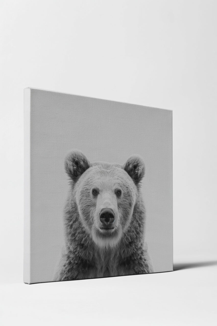 Fotografie Poster Bär Porträt schwarz-weiß frontal detailreich