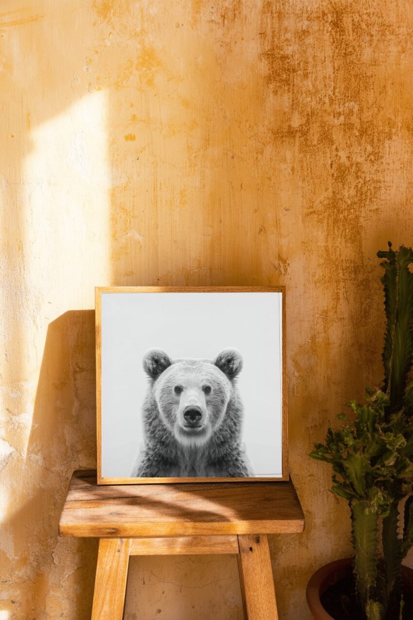 Fotografie Poster Bär Porträt schwarz-weiß frontal detailreich