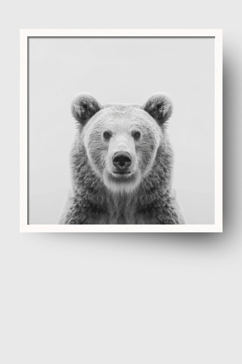 Fotografie Poster Bär Porträt schwarz-weiß frontal detailreich