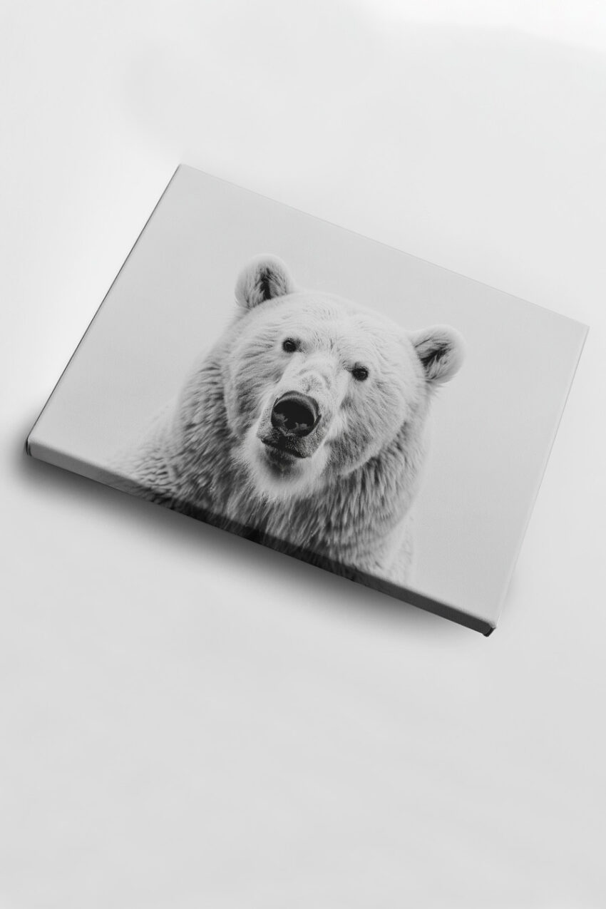 Fotografie Poster Eisbär Porträt schwarz-weiß minimalistisch