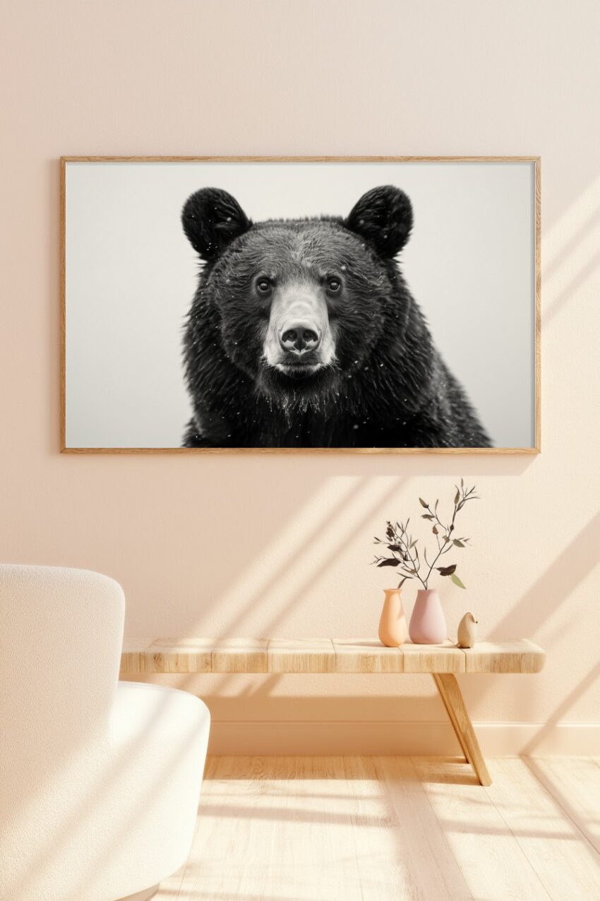 Fotografie Poster Bär Porträt Nahaufnahme Schwarz-Weiß