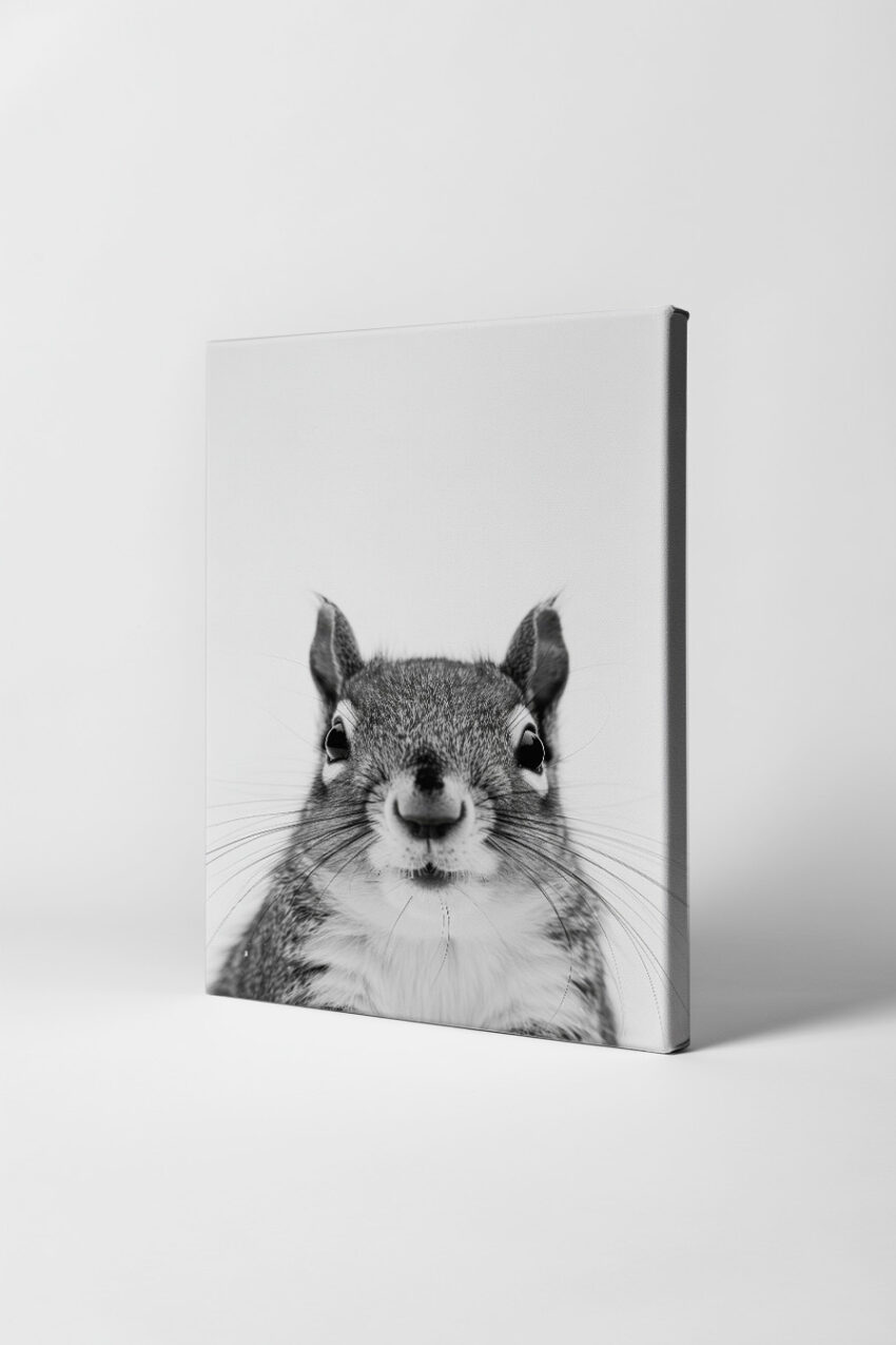 Fotografie Poster Eichhörnchen Nahaufnahme schwarz-weiß