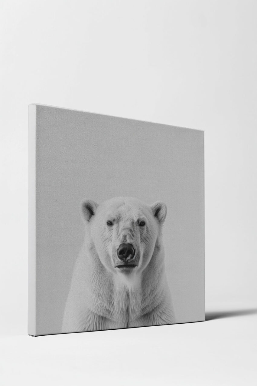 Fotografie Poster Eisbär Porträt schwarz-weiß