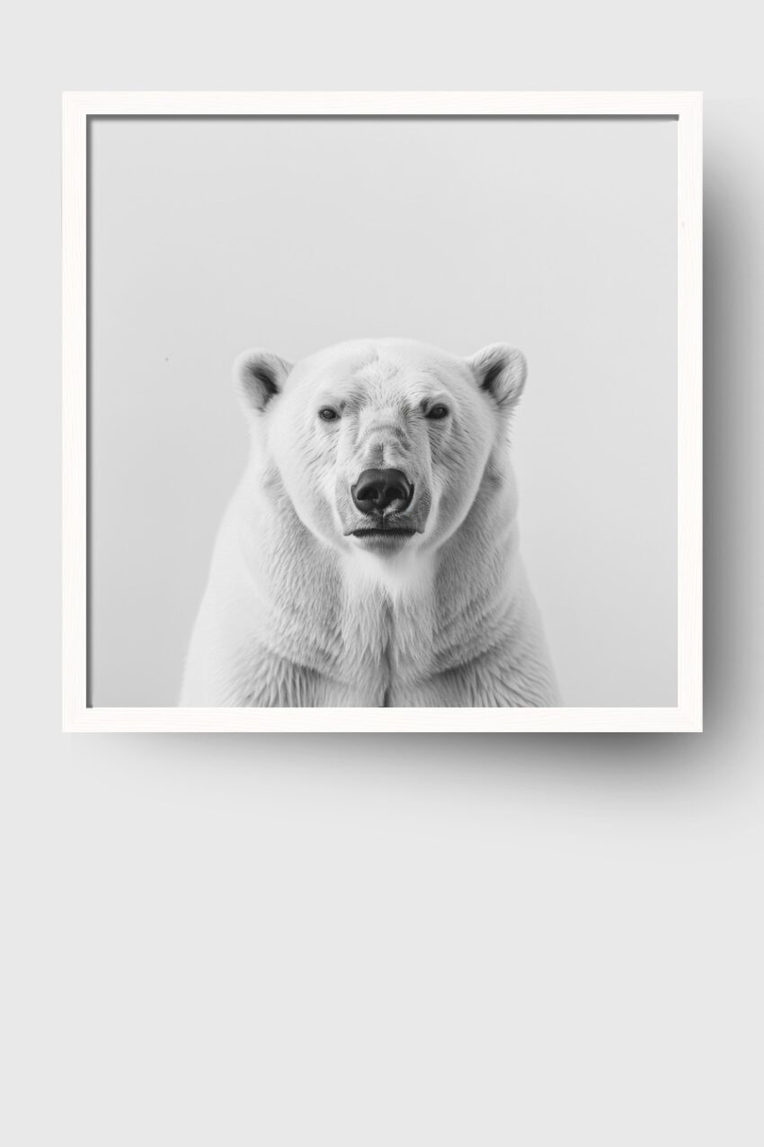 Fotografie Poster Eisbär Porträt schwarz-weiß