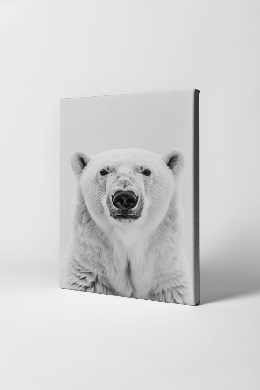 Fotografie Poster Eisbär Porträt schwarz-weiß minimalistisch