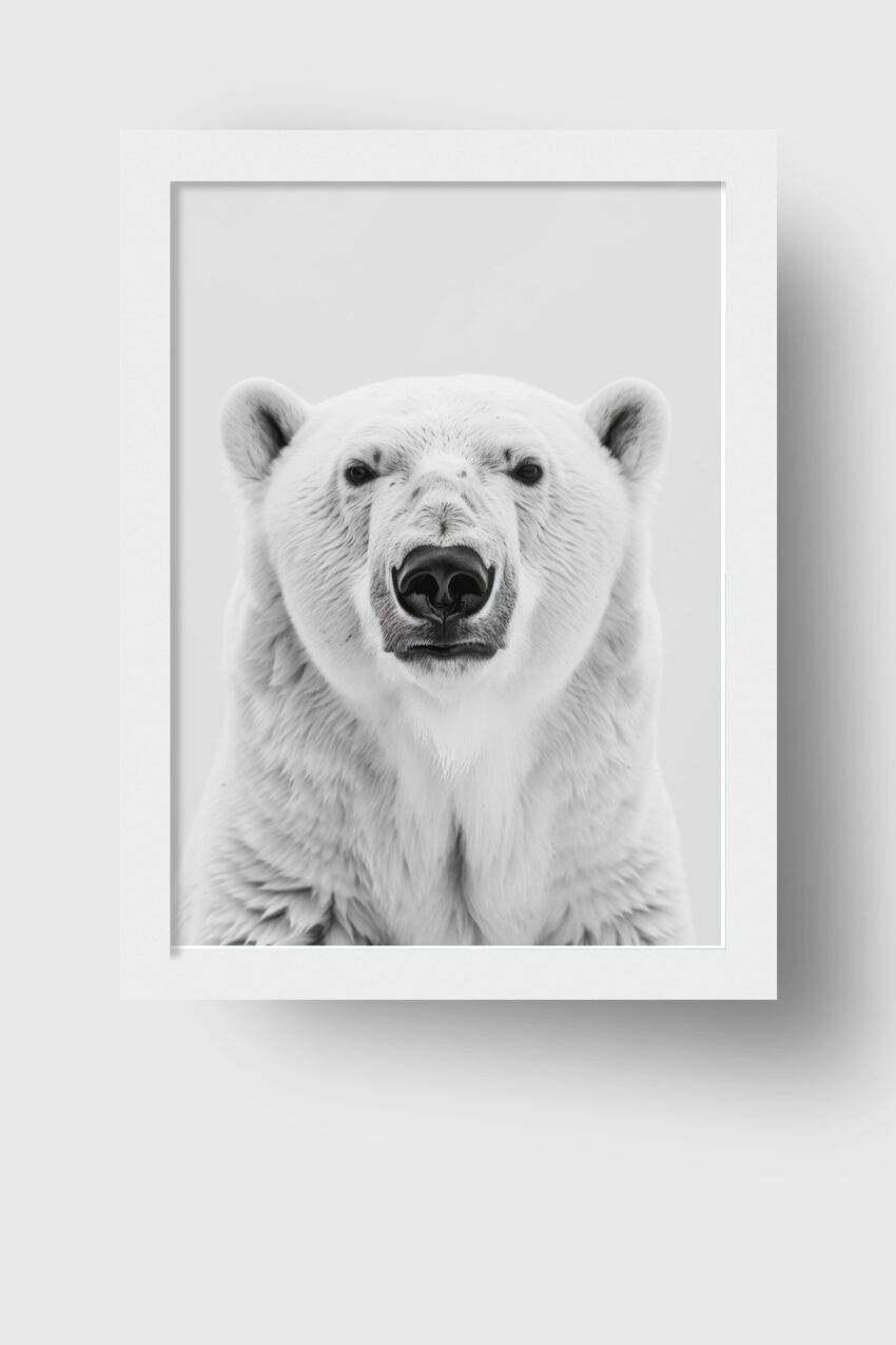 Fotografie Poster Eisbär Porträt schwarz-weiß minimalistisch