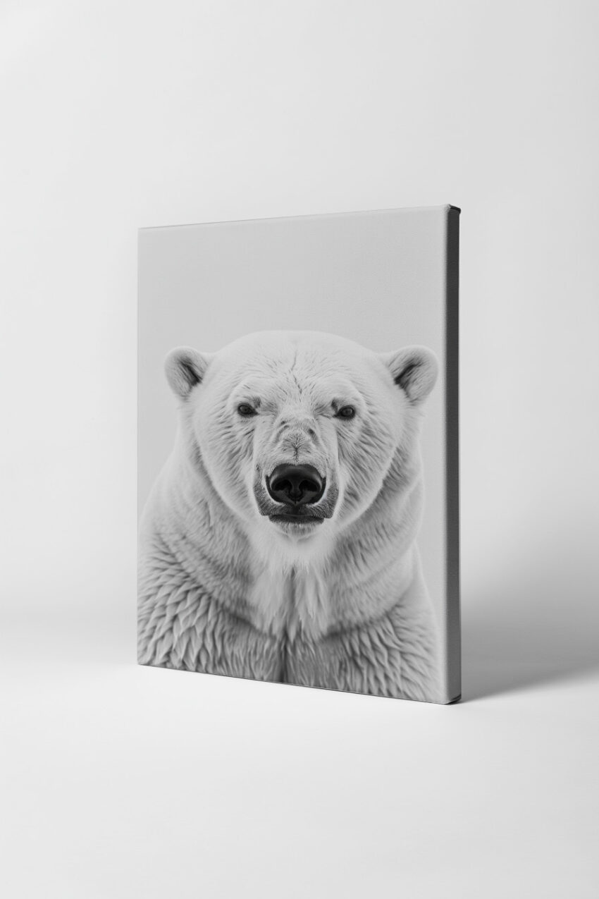 Fotografie Poster Eisbär Porträt schwarz-weiß frontal